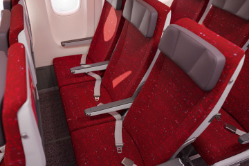 RECARO Air India Economy Class 1000