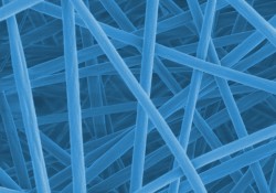 Fasern blau ohne Massstab