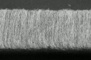 Microscopic-Image-of-V-Lap